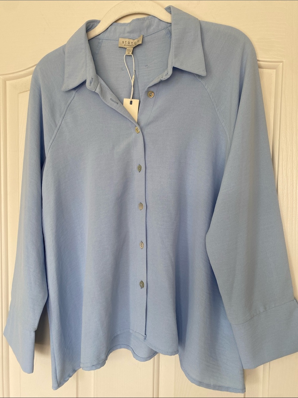 Statue Light Blue Button-Front Blouse
